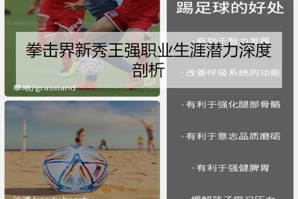 拳击界新秀王强职业生涯潜力深度剖析